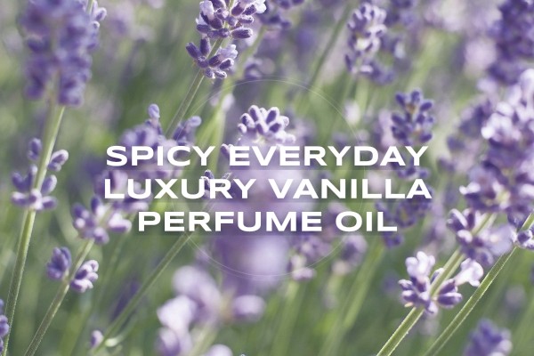 spicy everyday luxury vanilla perfume oil