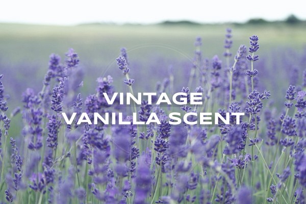 vintage vanilla scent