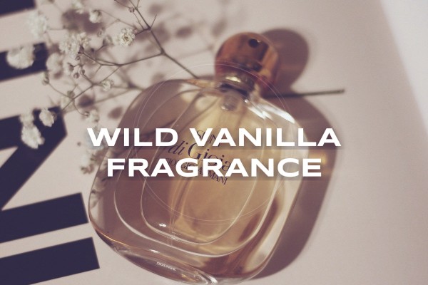 wild vanilla fragrance